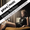 Enjoy Techno, Vol. 14