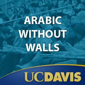 Arabic Without Walls cover