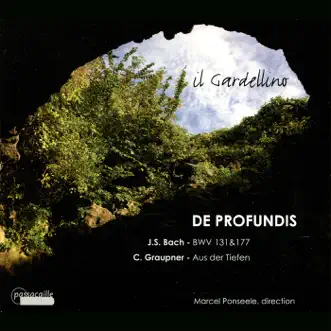 De Profundis by Il Gardellino & Marcel Ponseele album reviews, ratings, credits