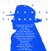Los Jóvenes Flamencos, Vol. 5 - Various Artists