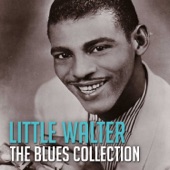 Little Walter - Your'e so Fine