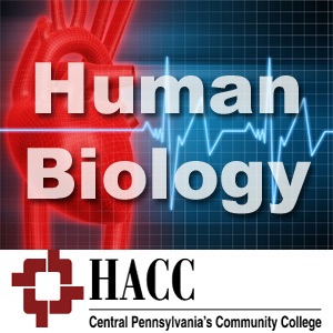BIOL 111: Human Biology cover