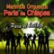 La Cumbia de los Animales - Marimba Orquesta Perla De Chiapas lyrics