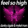 Feel So High - Deluxe Edition album lyrics, reviews, download