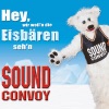 Hey, wir woll'n die Eisbären seh'n - Original Mix by Sound Convoy iTunes Track 1