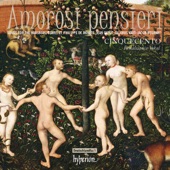 Amorosi pensieri - Songs for the Hapsburg Court artwork