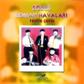Kamile - Tevfik Çekiç