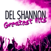 Del Shannon - Little Town Flirt