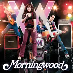 Nth Degree (Karaoke Version) - Single - MorningWood