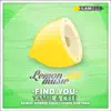 Find You (Dennis Cruz Remix) song lyrics