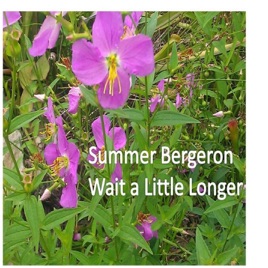 Wait a Little Longer (Live)