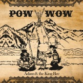 Pow Wow artwork