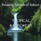 Afternoon - John Grout lyrics