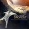 Dropout (Wellenrausch Remix) - Basil O'Glue lyrics