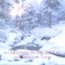 Snowy Winter Night - Steve Terwilliger lyrics