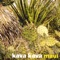 Swans - Kava Kava lyrics