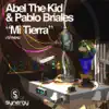 Stream & download Mi Tierra (Original Mix) - Single