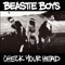 The Beastie Boys - Something's Got to Give