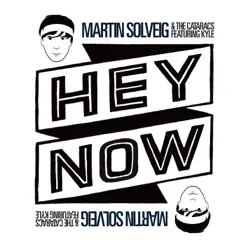 Hey Now (feat. Kyle) [Remixes] - EP - Martin Solveig