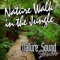 Thailand Jungle Habitat With Birds and Insects - Nature Sound Series lyrics