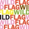 Future Crimes (7-Inch Version) - WILD FLAG lyrics