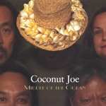 Coconut Joe - What a Wonderful Day!