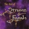 Nomad - Strunz & Farah lyrics