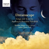 Dreamscape artwork