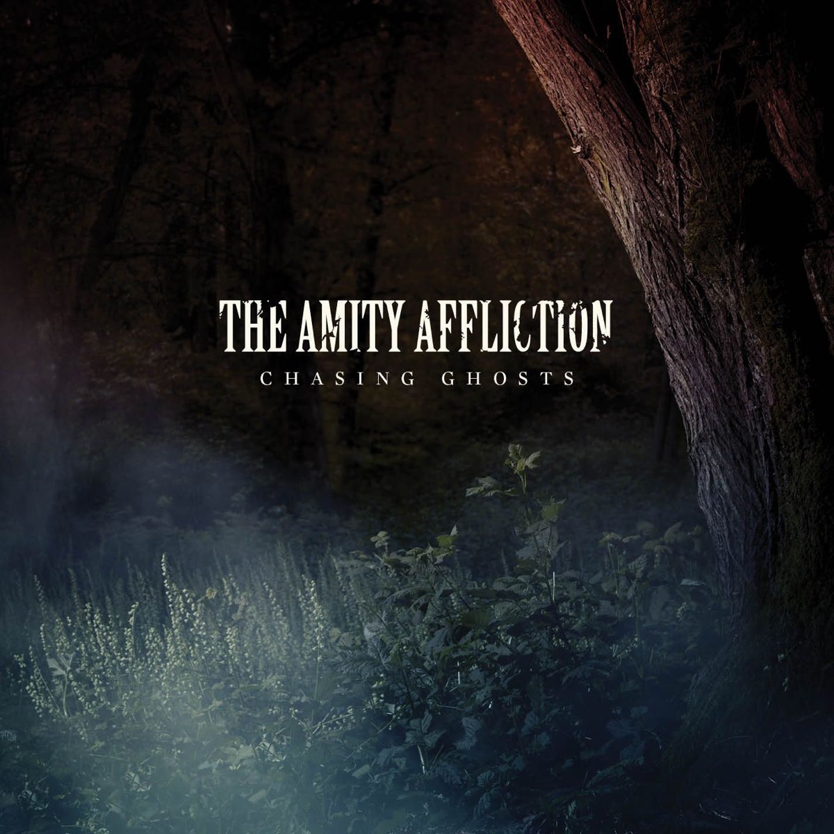 Chasing ghosts. The Amity Affliction альбомы. The Amity Affliction Chasing Ghosts. The Amity Affliction обложки альбомов. The Amity Affliction Let the Ocean take me.