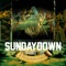 Party Til We Die (feat. Ashley Ring) - Sunday Down lyrics