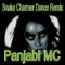 Snake Charmer (Dance Remix) - Panjabi MC lyrics