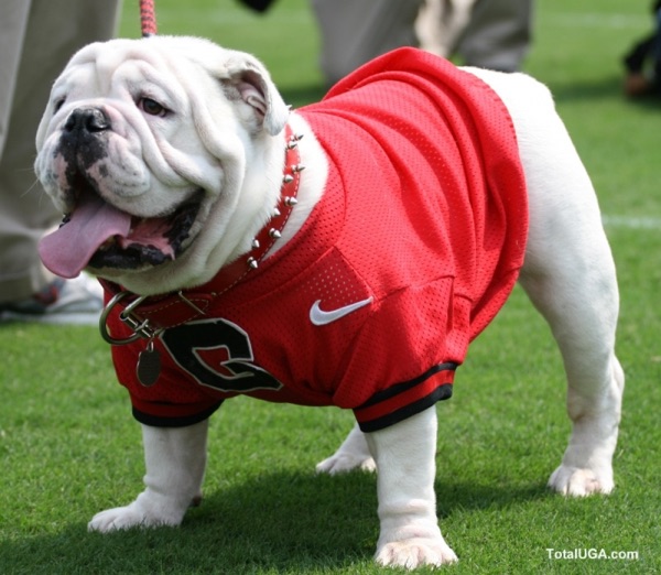 UGA Podcast cover