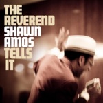The Reverend Shawn Amos - Hoodoo Man Blues