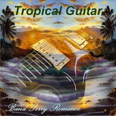 The Island Steel Guitar artwork