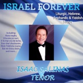 Israel Forever artwork