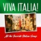 Funiculi Funicula - Italian Mandoline Orchestra lyrics