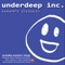 Happy Disko (Alex Spagnuolo Remix) - Underdeep Inc. lyrics