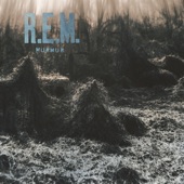 Sitting Still by R.E.M.