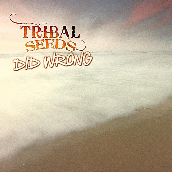 Cover artwork for Did Wrong
