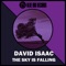 The SKY Is Falling (Bardia F Deeper Remix) - David Isaac lyrics