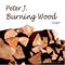 Burning Wood - Peter J. lyrics