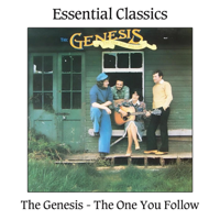 Mary McKee and The Genesis - The One You Follow artwork