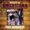Voices of Americana: Texas Rollercoaster Feeling