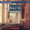 Miklos Spanyi - Toccata & Fugue in D Minor, BWV 565
