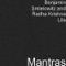 Mantra for Purification - Benjamin Smielowitz and Radha Krishna Lila lyrics