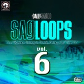 Sagloops Volume 6 - The Ultimate Bhangra Break Beats For the DJ artwork