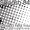 Should I Find You (Michael Cassette Remix) - Squash 84 lyrics