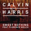 Calvin Harris - Sweet Nothing (feat. Florence Welch)