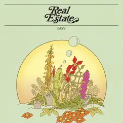 Easy - Single by Real Estate album reviews, ratings, credits