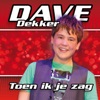 Toen Ik Je Zag - Single